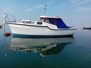 Tamar 2000 Enterprise
