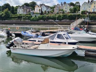 Classic 17' Boston Whaler