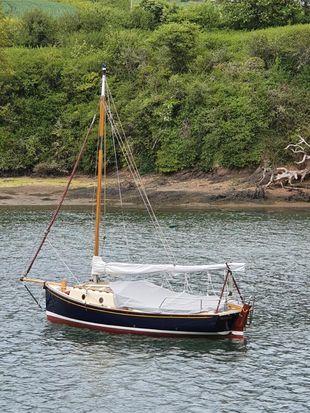 Norfolk Gypsy Pelican IV