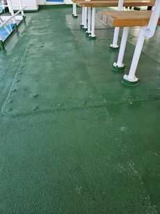 Passenger Ferry GT122ton