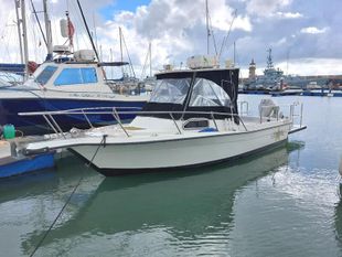 Celebrity 2300 (available)