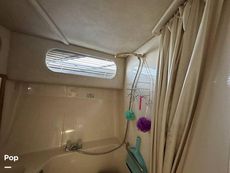 1992 Sea Ray 350 Express Bridge