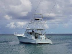 1997 Buddy Davis 52 express