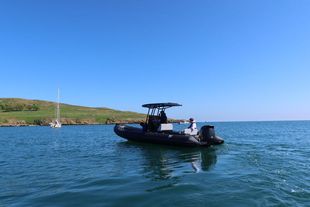 2025 Tiger Proline 740 w/ exclusive Suzuki 240HP Stealth Line Engine