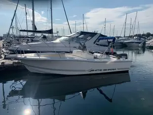 1998 White Shark 225