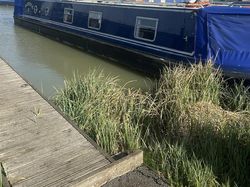 Sea Otter 51 narrow boat .