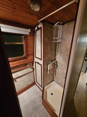 Bathroom shower and storage