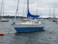 1980 Trapper 300