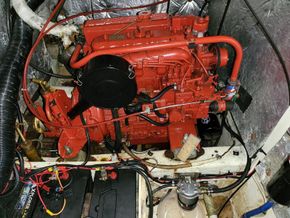Moody 39cc  - Engine