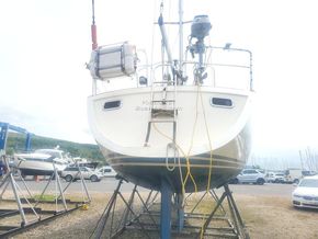 Moody 376  - Stern