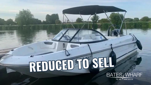 2019 Bayliner Element E21