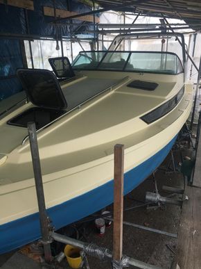 Getting an under coat