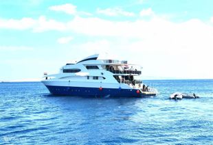 37m Diving Vessel For Sale