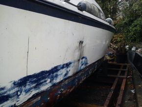 Just out of the water, ready to start work