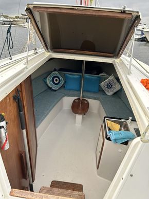 View from Cockpit