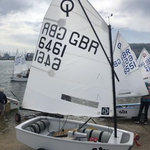 Optimist 6461