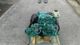Volvo Penta D1-30 29hp Marine Engine Package