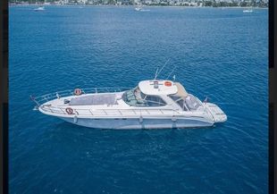 Sea Ray 540