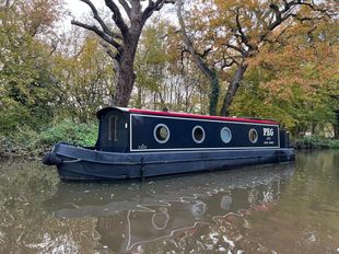 2018 Aintree Beetle 30' Narrowboat