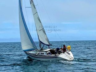 1980 Colvic Liberator 35