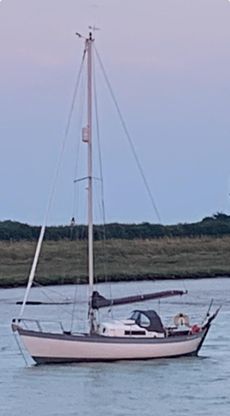 Lovely Frances 26