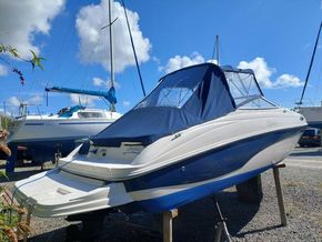Rinker 232 Captiva Cuddy     -Just Serviced - Exterior