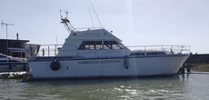 Princess 41
