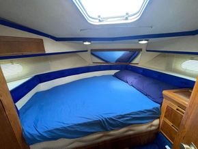 Sealine 365 Sports Cruiser  - Forward Cabin