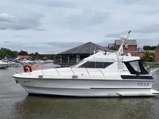 1985 Birchwood TS33