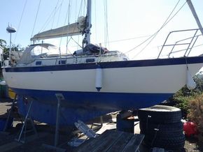 Victoria 30 Sailing Sloop - Main Photo