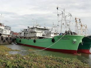 Fishing  vessel    "CENTURY"
