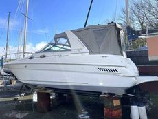 1999 Sea Ray Sundancer 290