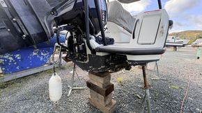 IMG 7981