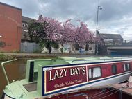 LW1060 Lazy Days