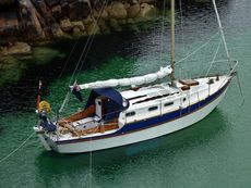 1978 Golden Hind 31
