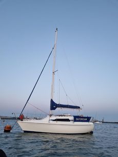 Hunter Horizon 23