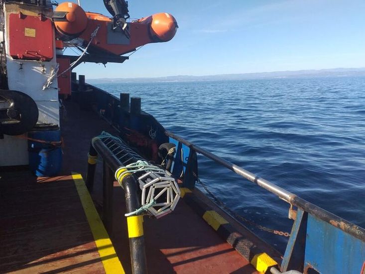 1984 Tug - Single Screw For Sale