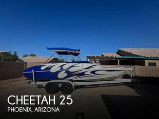 2012 Cheetah 25