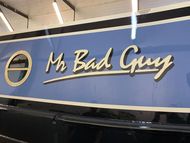 Mr Bad Guy