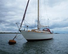 1971 Twister "Wild Girl"