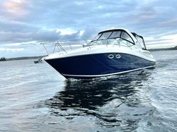 Sea Ray 325