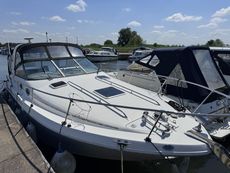 Sea Ray 290 Sundancer 'Bonzo' 