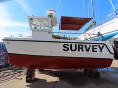 2006 BWC Signature 595 CAT