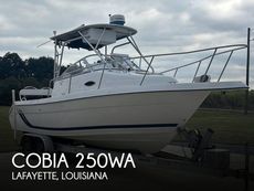 2001 Cobia 250WA