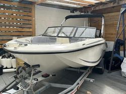 2022 Bayliner M17