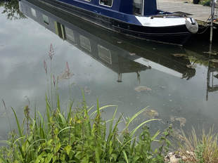 55ft Narrowboat.