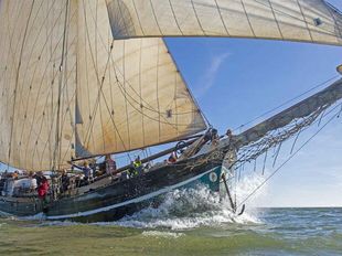 Clipper for sale Najade