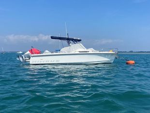 Nimbus T8