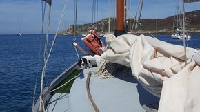 Lazy Sail Day