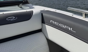  Regal LS9 19